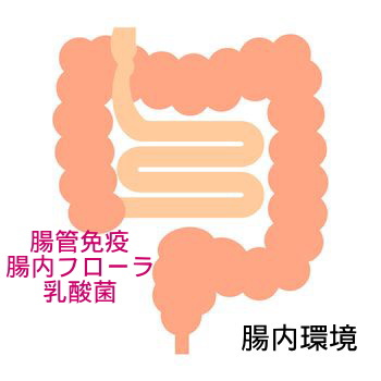 腸管