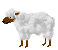 羊肉