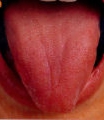 顫動舌