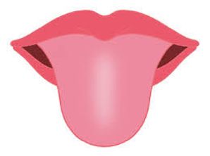 舌診の事例2